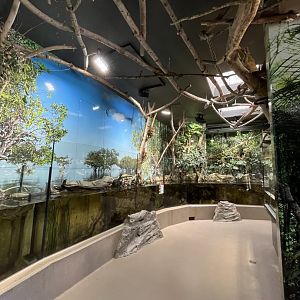 View of fish exhibits and sloth climbing frames 13.7.25