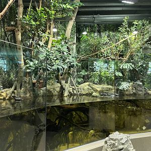 Mixed reptile, fish and sloth exhibit 13.7.25