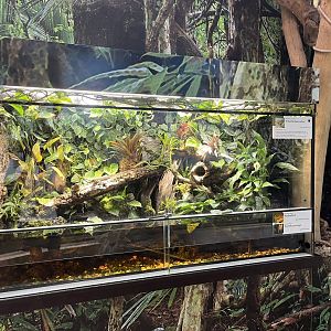 Mixed reptile and fish exhibit 13.7.25