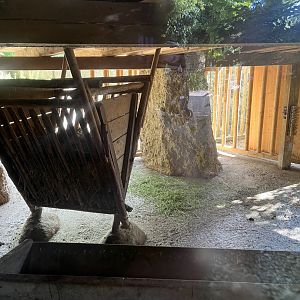 Forest reindeer indoors 13.7.25