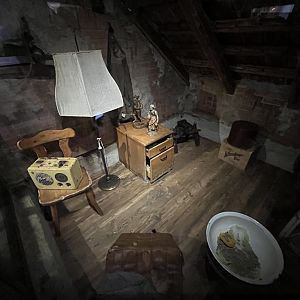 Black rat enclosure 13.7.25