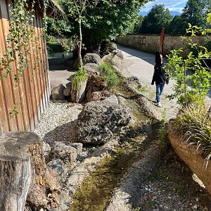 Water feature 13.7.25