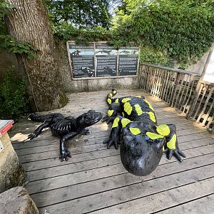 Fire salamander statues 13.7.25