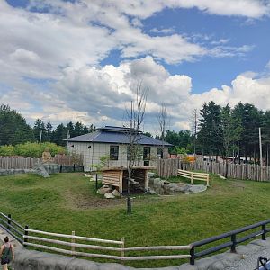 Upper viewing of one of the Malayan Tapir exhibit(This is the newer one)