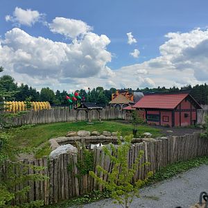 Upper viewing of one of the Malayan Tapir exhibit
