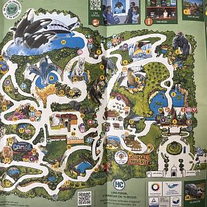 Zoo Map - 2024