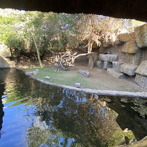 2nd view of vulture and marabou stork enclosure