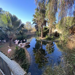 Another view of flamingo and lemur island
