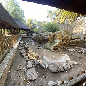 Cape porcupine enclosure