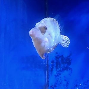 Can anyone please help identify,?