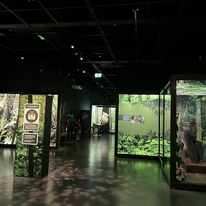 View of the exhibition area 1.8.25