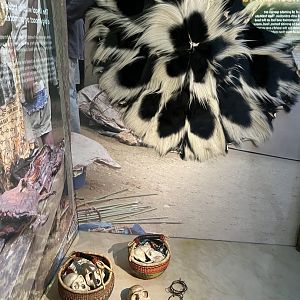 Captured items from bushmeat trade and wildlife trade on display 1.8.25