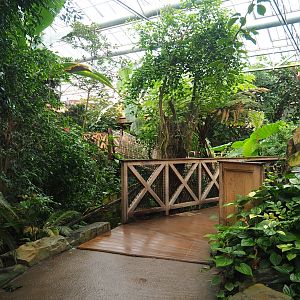 View with bridge next to waterfall in the orangutan greenhouse, 2023-09-19