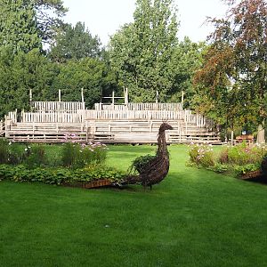 Wicker peacock planters with seating for the raptor show in the background, 2023-09-19