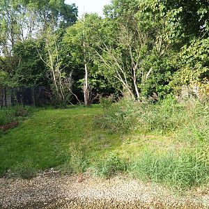 First Double-wattled cassowary exhibit, 2023-09-19