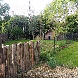 First and second Double-wattled cassowary exhibits, 2023-09-19