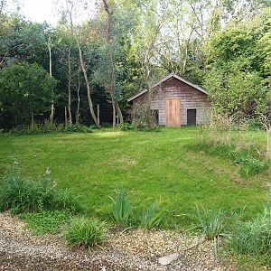 Second Double-wattled cassowary exhibit, 2023-09-19