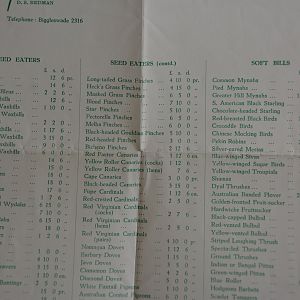 Birds for sale 1958.  UK