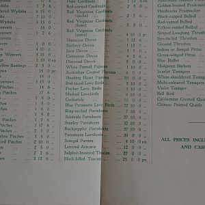 List of birds for sale 2