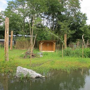 Ngyuwe - Second okapi enclosure