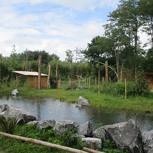 Ngyuwe - Okapi enclosures