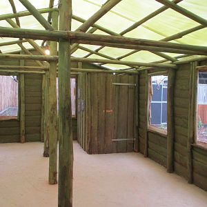 Ngyuwe - Okapi and duiker building