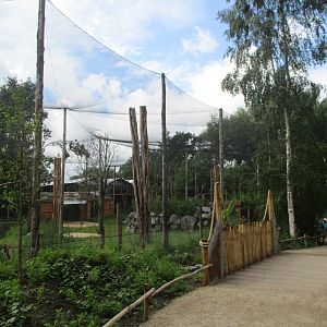 Ngyuwe - Aviary