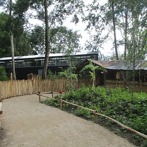 Ngyuwe - Greenhouse entrance