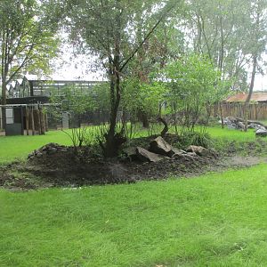 Ngyuwe - Pygmy hippo enclosure