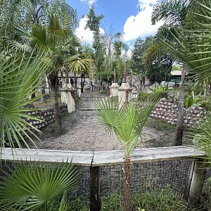 July 2025 - Asia - Malayan Tapir Enclosure