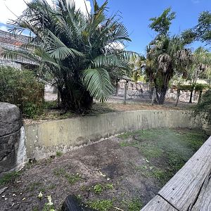 July 2025 - Asia - Babirusa/Tapir Enclosures