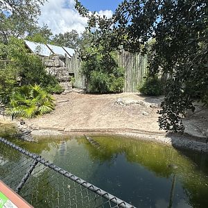 July 2025 - Asia - Gharial Mixed Enclosure