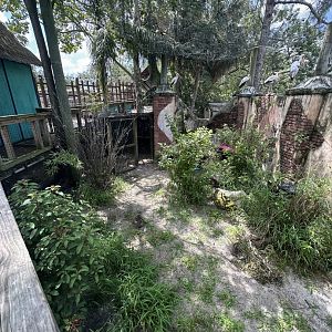 July 2025 - Asia - Muntjac Enclosure (Empty)