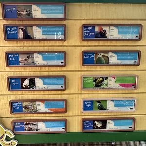 July 2025 - Australia - Straya’s Bird Sanctuary (Species List)