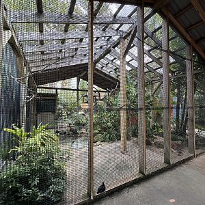 July 2025 - Australia - Straya’s Bird Sanctuary (Overview)