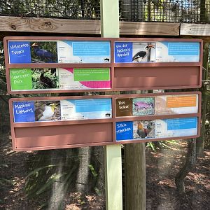 July 2025 - Africa - Aviary Species List