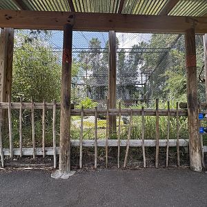 July 2025 - Africa - Shoebill Viewing Area