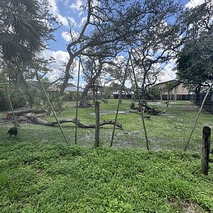July 2025 - Africa - Antelope Mixed Enclosure