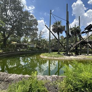 July 2025 - Primate World - Colobus Enclosure