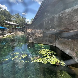 July 2025 - Florida Wilds - Manatee Pool