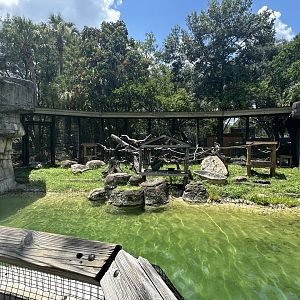 July 2025 - Primate World - Sloth Enclosure (formerly Mandrill)