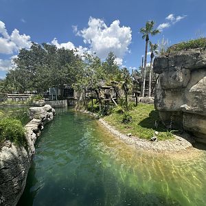 July 2025 - Primate World - Lemur Enclosure (Overview)