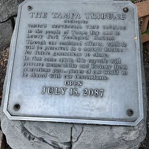 July 2025 - Time Capsule