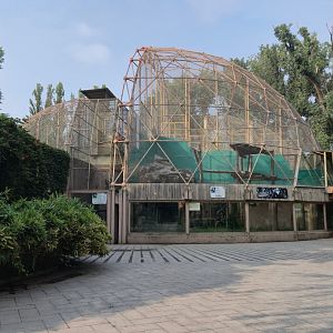 Golden Monkey House, Gray Snub-nosed Monkey exhibit