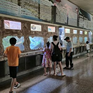 Reptile and Amphibian house