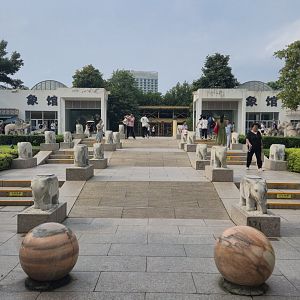 Elephant Houses - two conected buildings for Asian and African Elephants