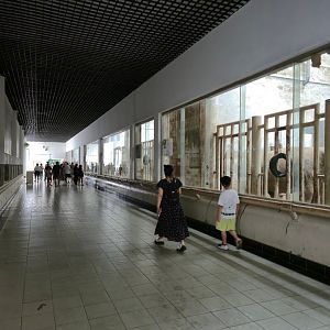 African Elephant House