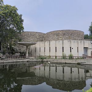 Hippo/Rhino/Tapir house