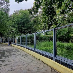 Black Muntjac 6 connected exhibits