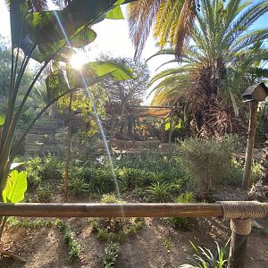 First view of lemur falls enclosure